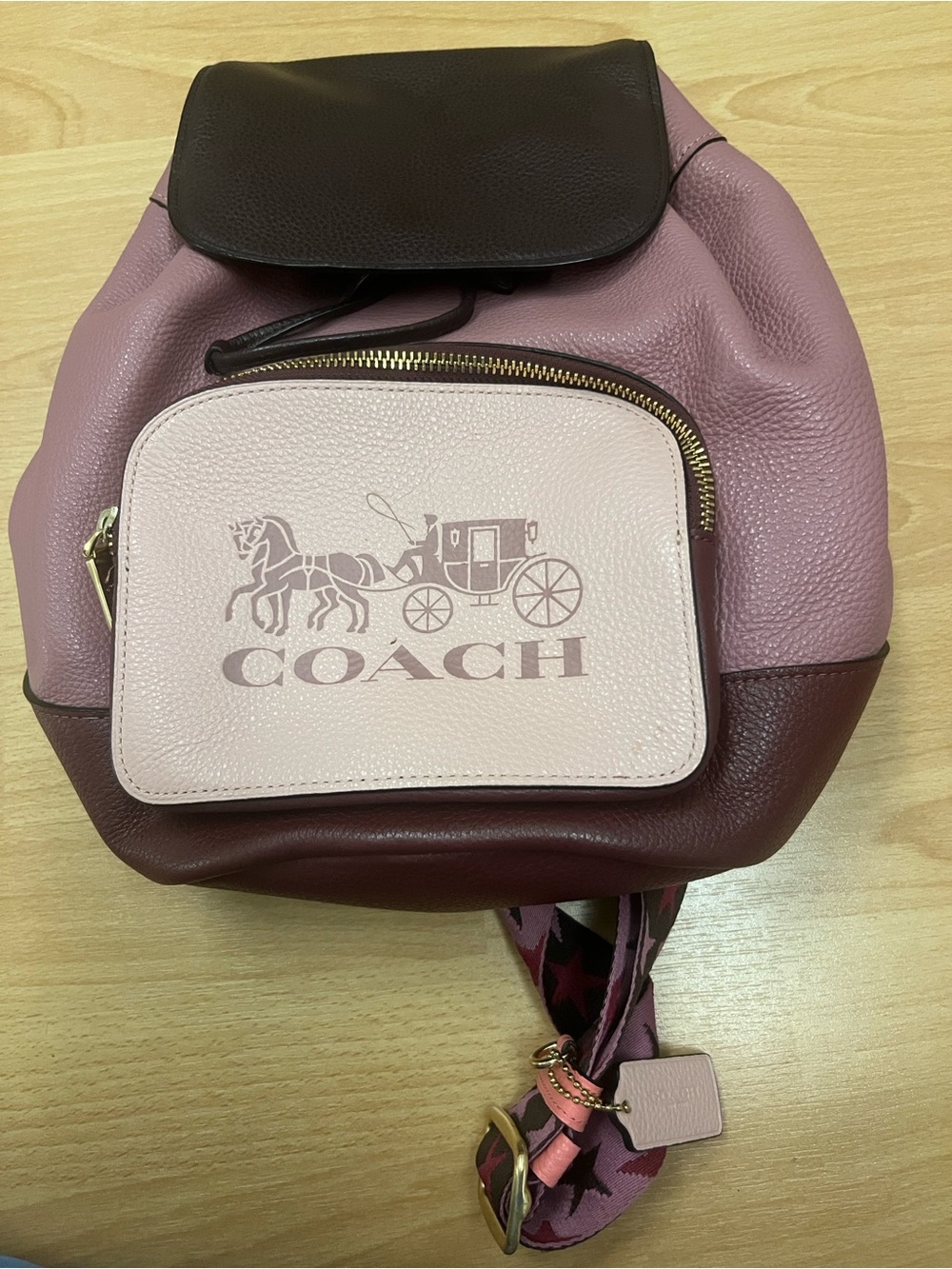 COACH Pink Leather Colorblock Backpack with Logo Pocket